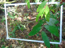 PA_994_2_10b
