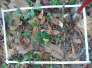 PA_994_2_11c
