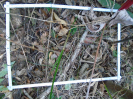 PA_996_3_15b