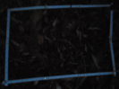 PA_996_4_21c