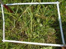 PA_999_2_105a