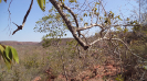 PI_428_F3_pan