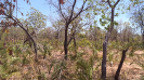 PI_429_F3_pan