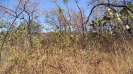 PI_430_F3_pan