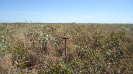 PI_431_F3_pan