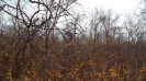 PI_486_F3_pan