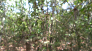 PI_564_F5_1