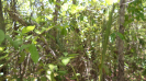 PI_564_F5_4