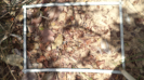 PI_564_F9_3_1