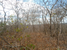 PI_595_F3_pan