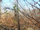 PI_624_F3_pan