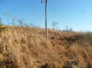 PI_629_F3_pan