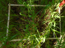 PR_353_2_3353b