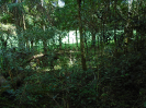 PR_353_4_3370