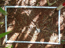PR_38_4_1231a