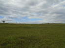 PR_7_2_1515