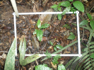 RO_156_2_0962A