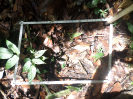 RO_156_2_0964C