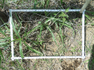 RO_157_4_0889B