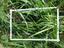 RO_157_4_0891C