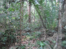RO_161_4_4368