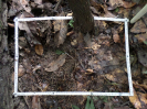 RO_165_4_1012_C