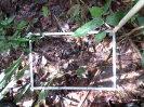 RO_168_2_0604C