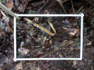 RO_168_2_0605D