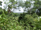 RO_168_3_0596