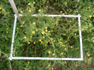RO_169_3_0572A