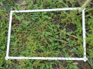 RO_169_3_0575C