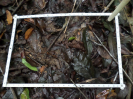 RO_169_4_0580B