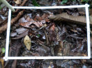 RO_169_4_0581A