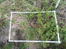 RO_174_2_447_C