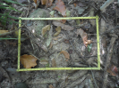 RO_198_4_1247_B