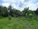 RO_202_3_3903