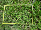 RO_202_3_3905_B