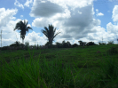 RO_202_4_3909