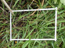 RO_208_1_1207A