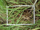 RO_208_1_1210C