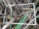 RO_208_2_1212A
