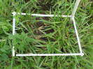 RO_208_2_1213C