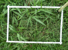 RO_208_4_1224C
