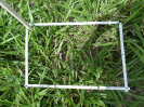 RO_215_1_0722A