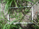 RO_215_1_0723B