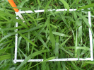 RO_215_2_0727A