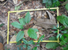 RO_218_4_4194_C