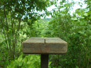 RO_233_1_1328