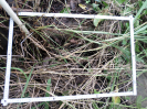 RO_233_2_1336D
