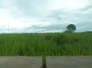 RO_302_0_1300